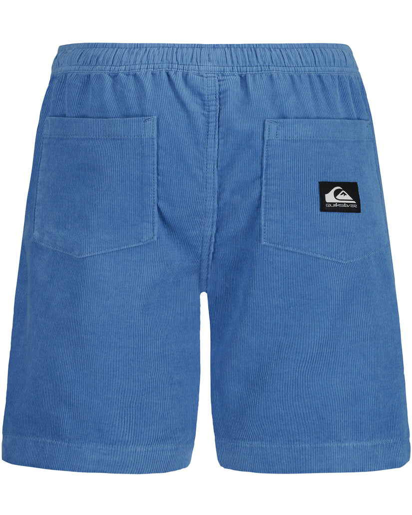 Boys Taxer Cord Shorts