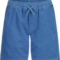 Boys Taxer Cord Shorts