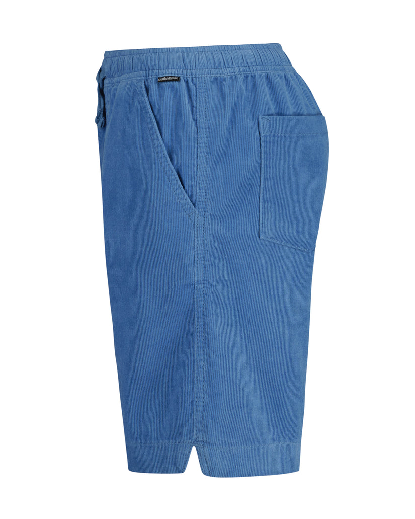 Boys Taxer Cord Shorts