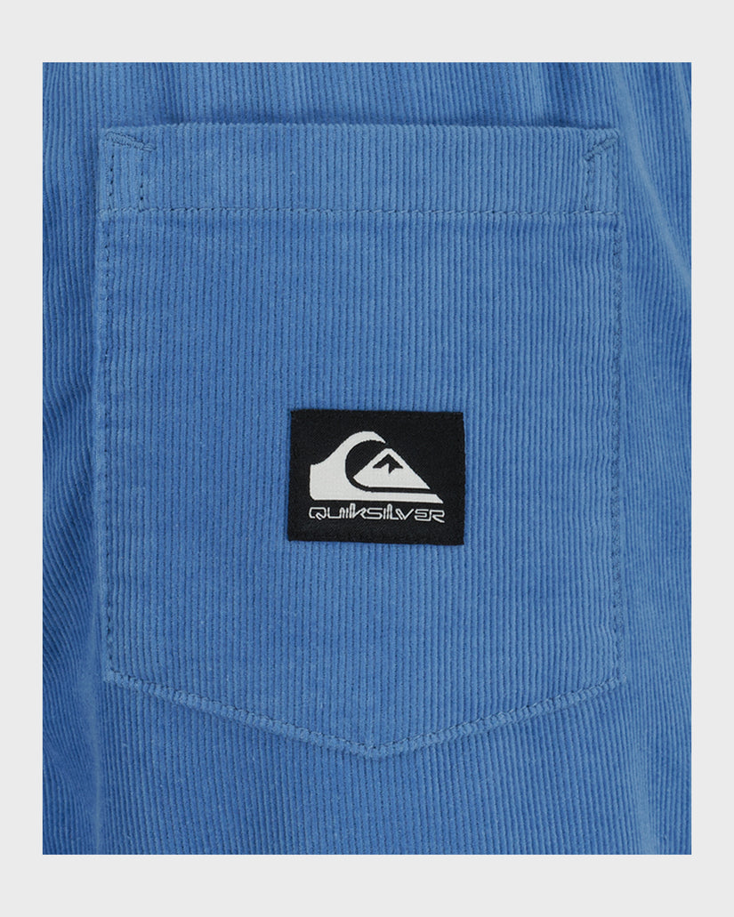 Boys Taxer Cord Shorts