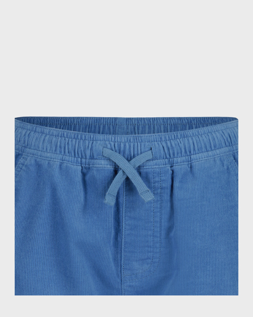 Boys Taxer Cord Shorts