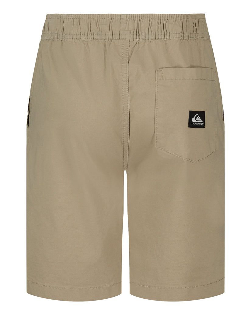 Boys Taxer Shorts
