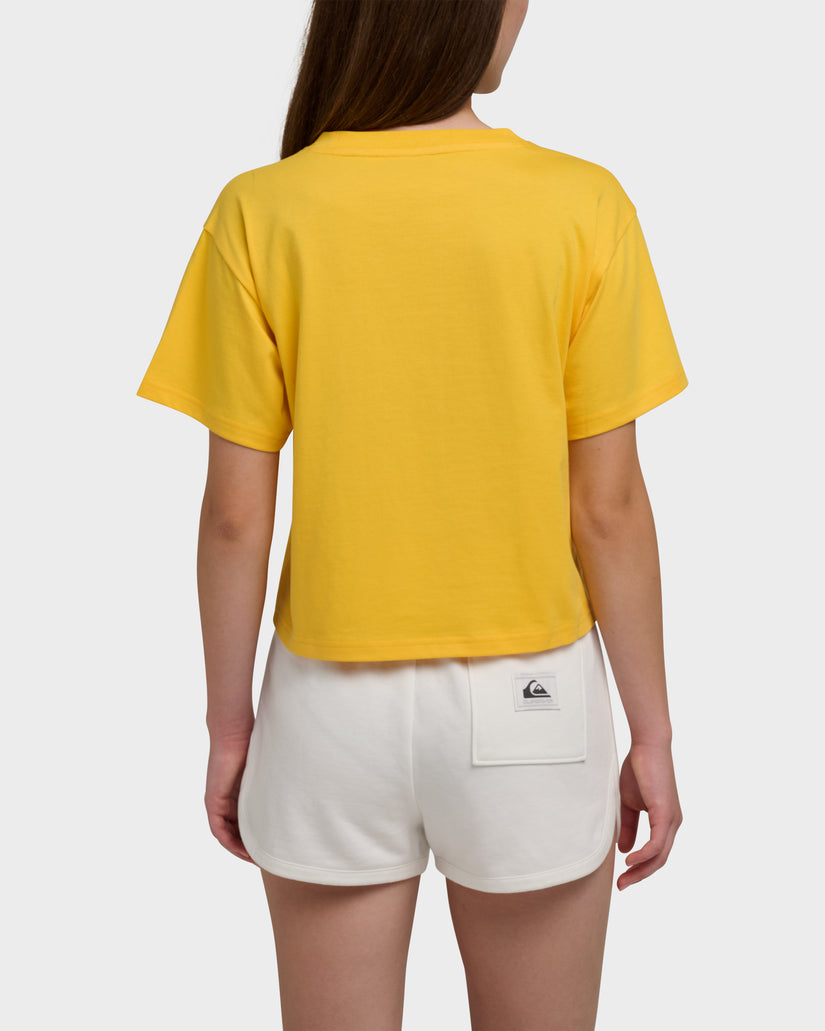 Quiksilver X Pacifico Cropped Boyfriend T-Shirt
