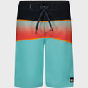 Boys Everyday Panel Boardshorts