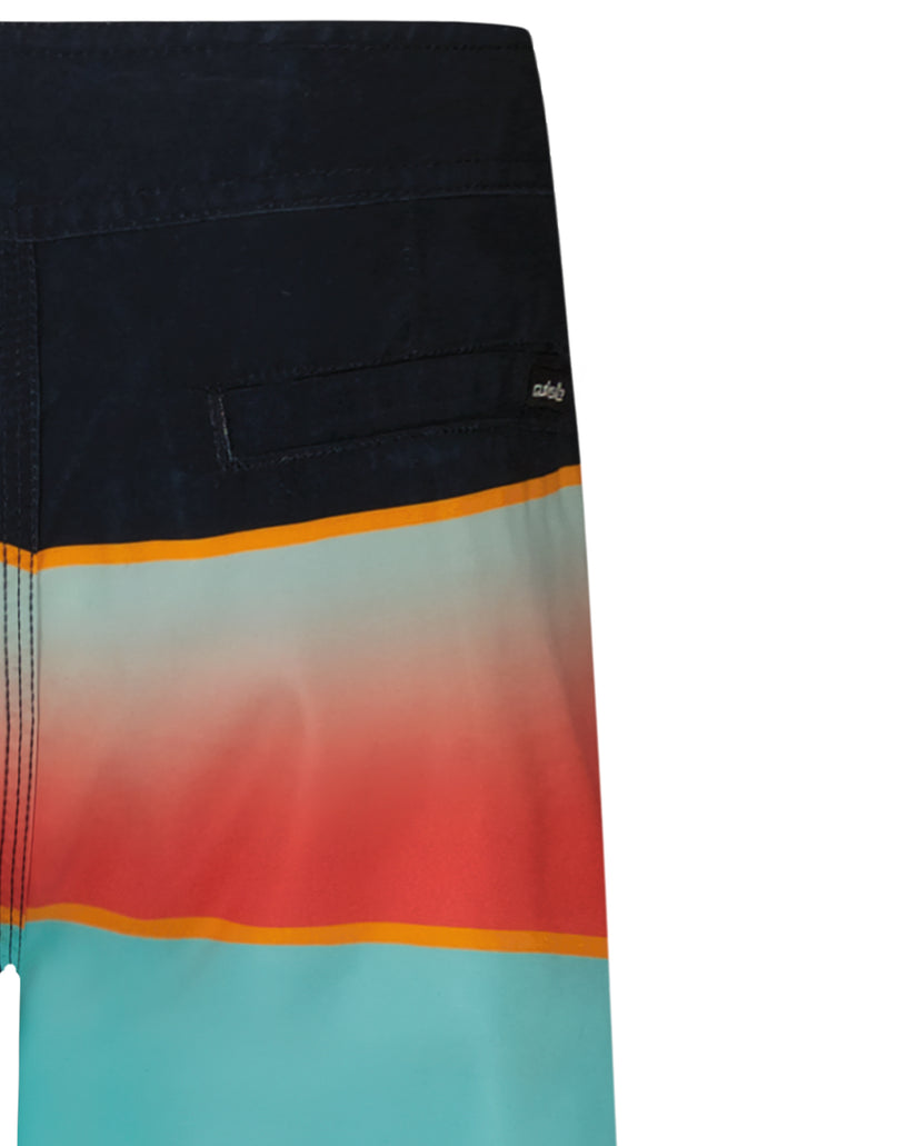 Boys Everyday Panel Boardshorts