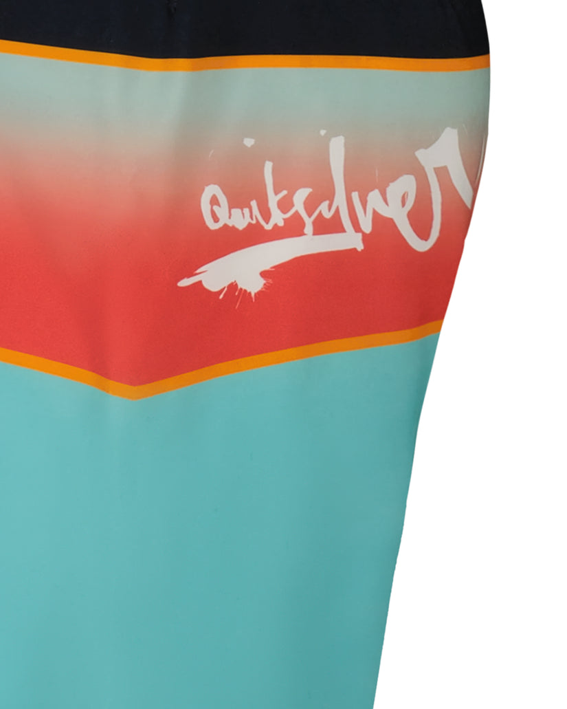 Boys Everyday Panel Boardshorts