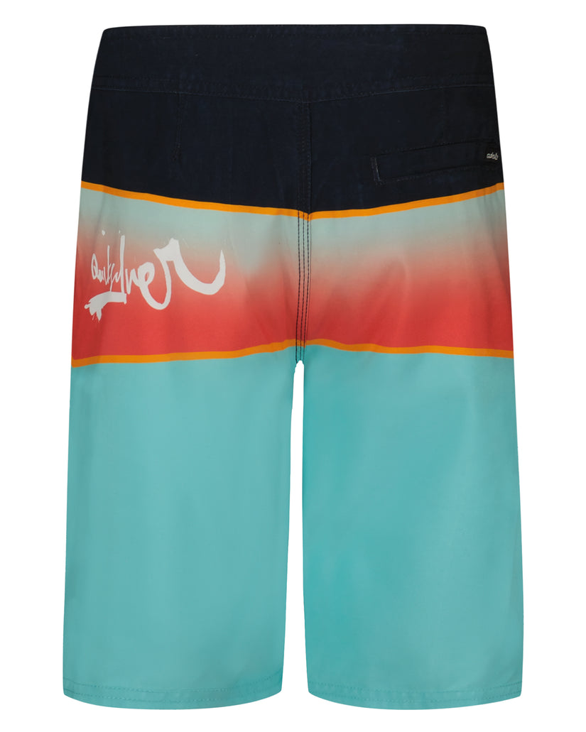 Boys Everyday Panel Boardshorts