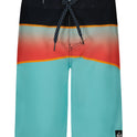 Boys Everyday Panel Boardshorts