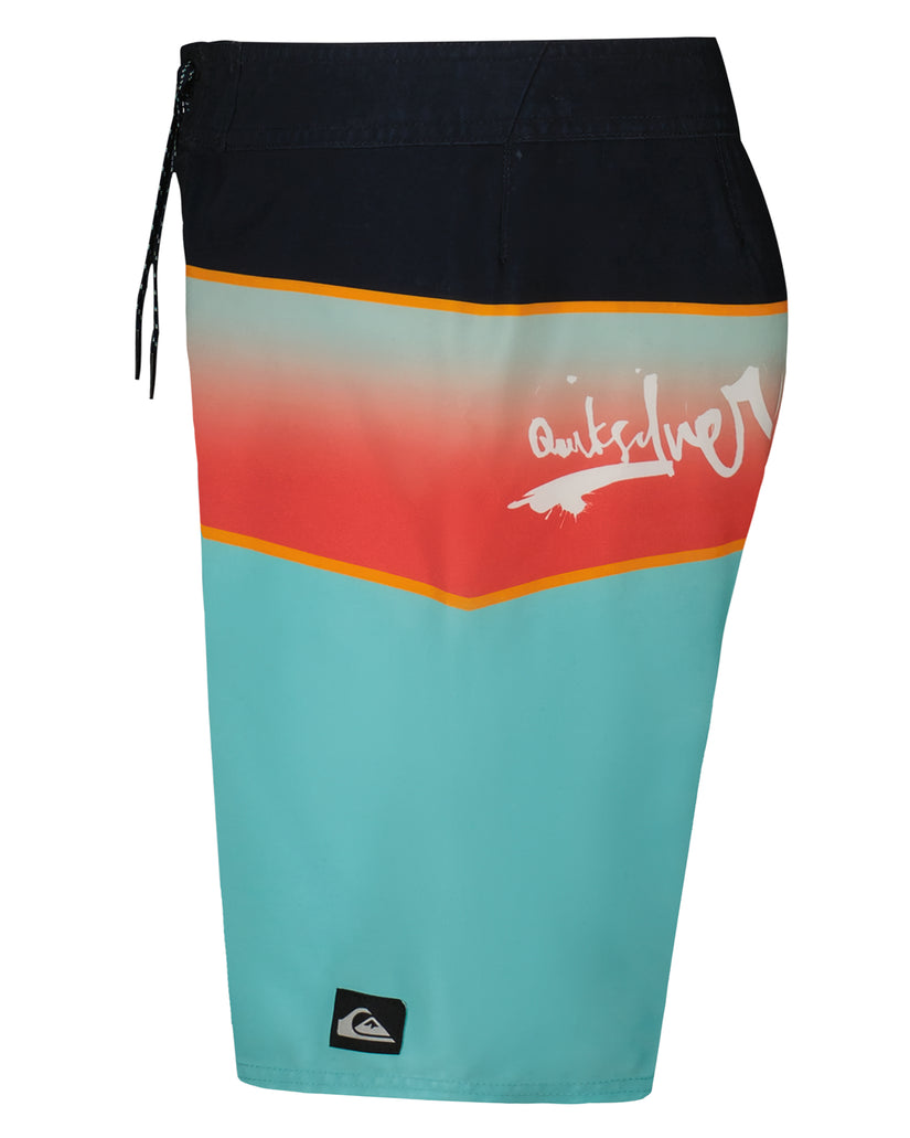 Boys Everyday Panel Boardshorts
