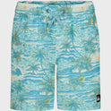 Boys Surfsilk Mix Volley Swim Trunks
