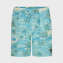 Little Boys Surfsilk Mix Volley Swim Trunks